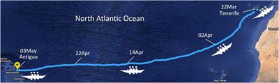 Mental and physiological wellbeing while rowing across the North Atlantic: a single-case study of subjective versus objective data